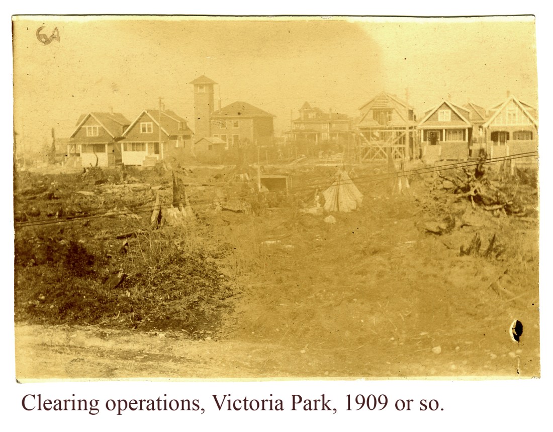 Victoria Park clearing 1901